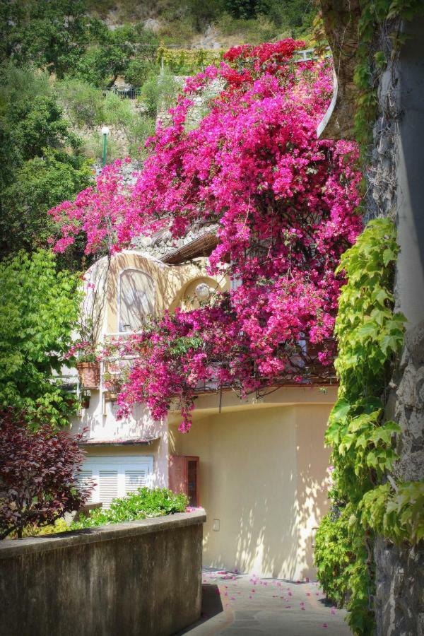 Positano Holidays المظهر الخارجي الصورة