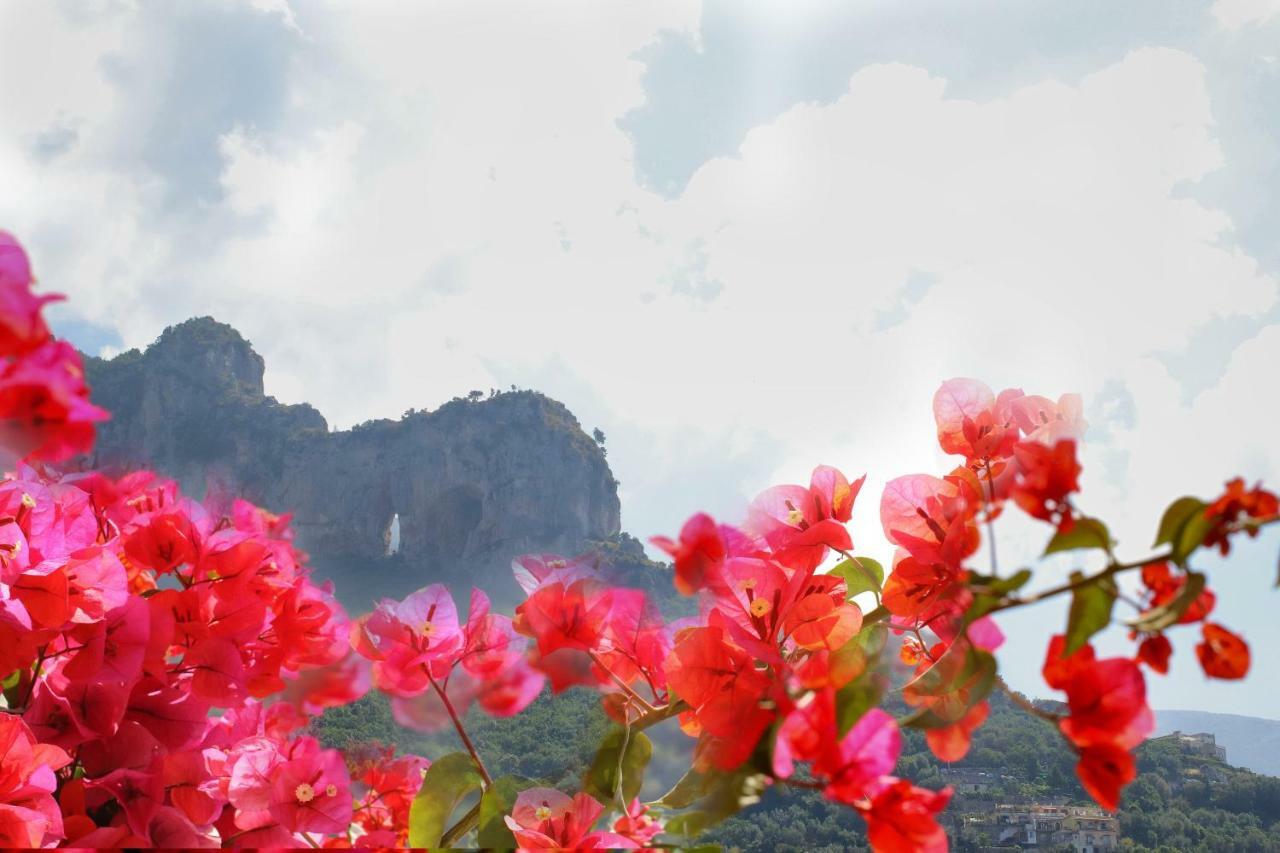 Positano Holidays المظهر الخارجي الصورة